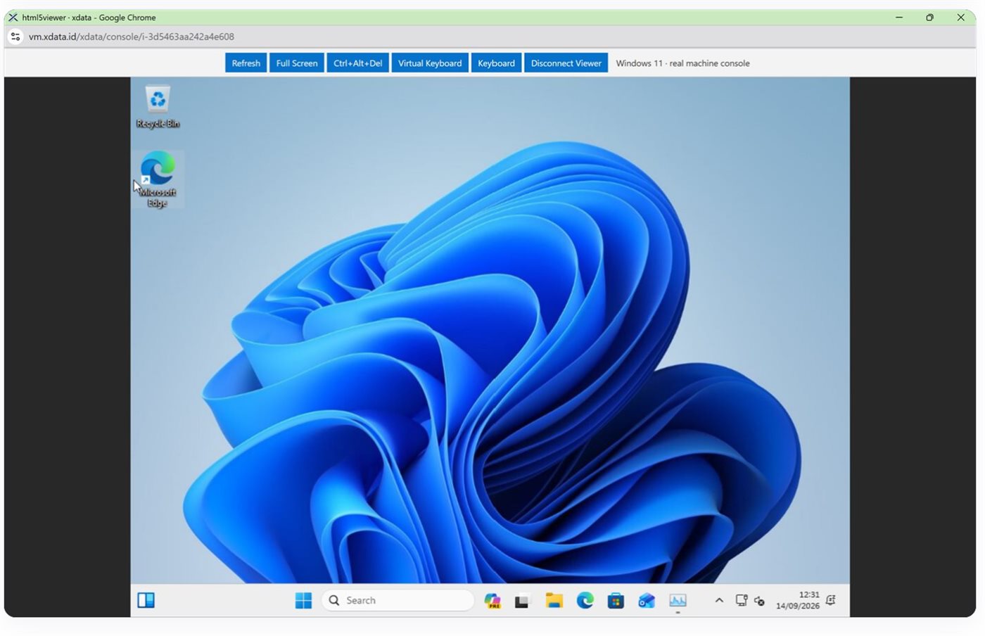 Windows 11 desktop in the vm.xdata.id browser console